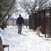 Akcja na rzecz Schroniska dla Bezdomnych Zwierząt w Orzechowcach